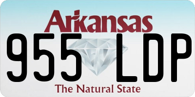 AR license plate 955LDP