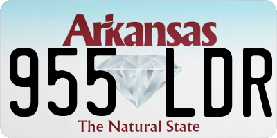 AR license plate 955LDR