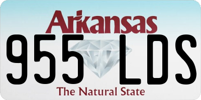AR license plate 955LDS
