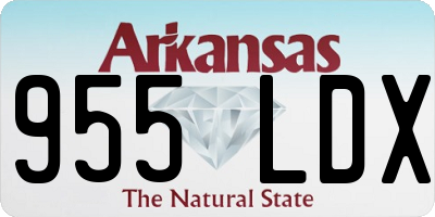 AR license plate 955LDX