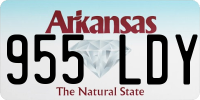 AR license plate 955LDY