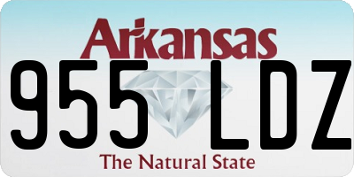 AR license plate 955LDZ