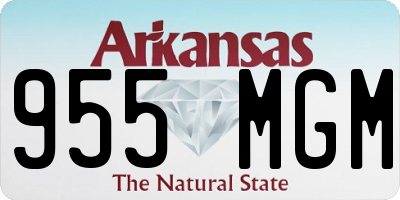 AR license plate 955MGM