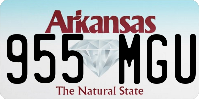AR license plate 955MGU
