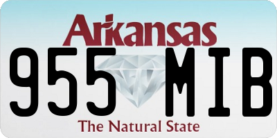 AR license plate 955MIB