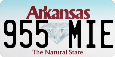 AR license plate 955MIE