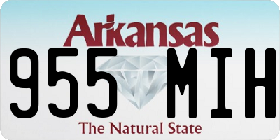 AR license plate 955MIH