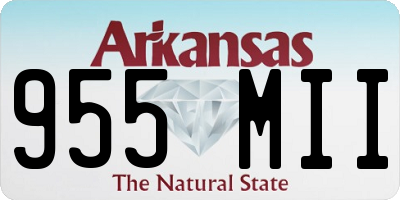 AR license plate 955MII