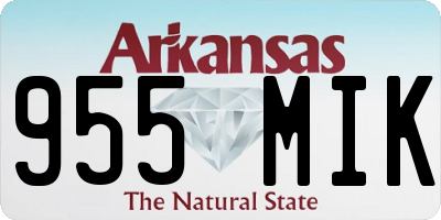 AR license plate 955MIK
