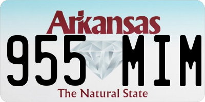 AR license plate 955MIM