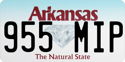 AR license plate 955MIP