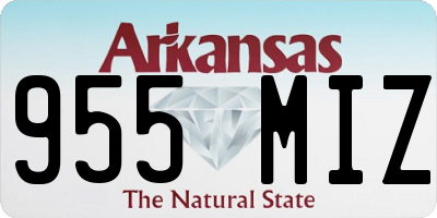 AR license plate 955MIZ