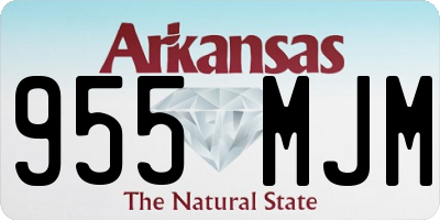 AR license plate 955MJM