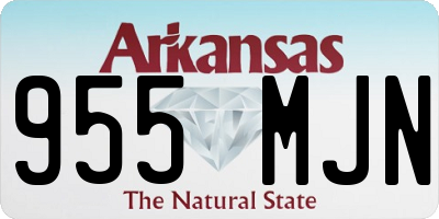 AR license plate 955MJN