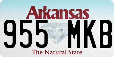 AR license plate 955MKB