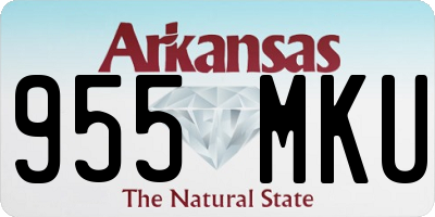 AR license plate 955MKU