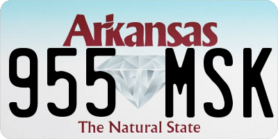 AR license plate 955MSK