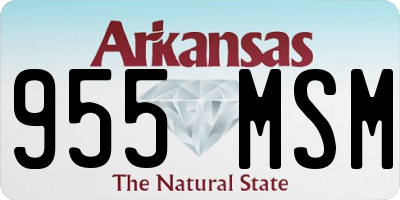AR license plate 955MSM