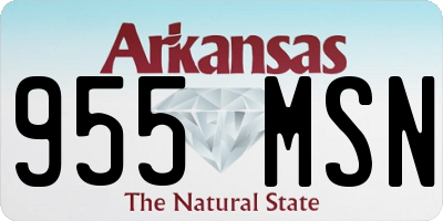 AR license plate 955MSN