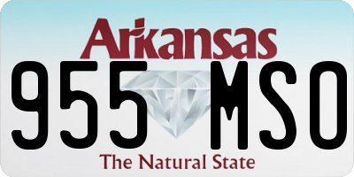 AR license plate 955MSO