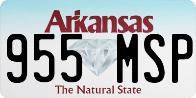AR license plate 955MSP