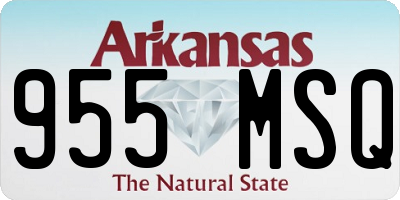 AR license plate 955MSQ