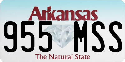AR license plate 955MSS