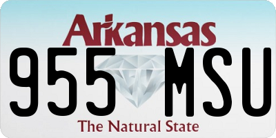 AR license plate 955MSU