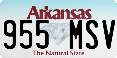 AR license plate 955MSV