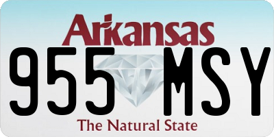 AR license plate 955MSY