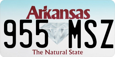 AR license plate 955MSZ