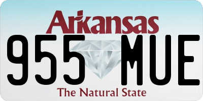 AR license plate 955MUE