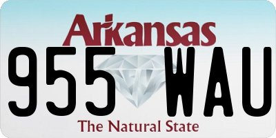AR license plate 955WAU