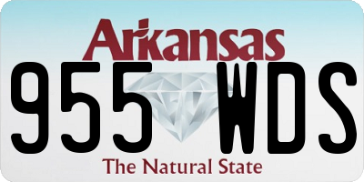 AR license plate 955WDS