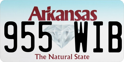 AR license plate 955WIB