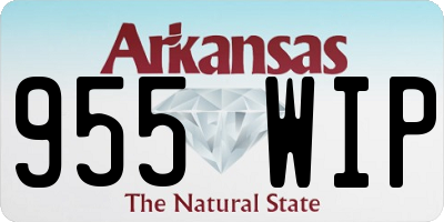 AR license plate 955WIP