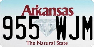AR license plate 955WJM
