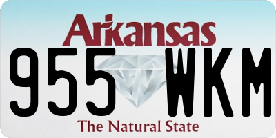 AR license plate 955WKM