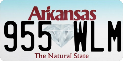 AR license plate 955WLM
