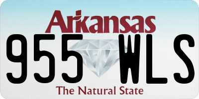 AR license plate 955WLS