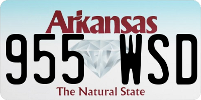 AR license plate 955WSD