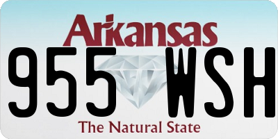 AR license plate 955WSH