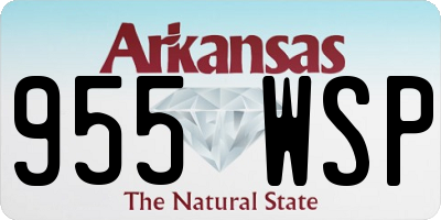 AR license plate 955WSP