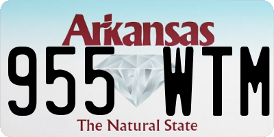 AR license plate 955WTM