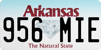 AR license plate 956MIE
