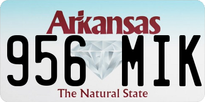 AR license plate 956MIK