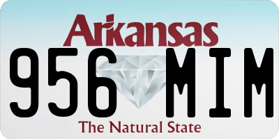 AR license plate 956MIM