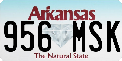 AR license plate 956MSK