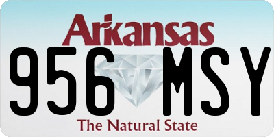 AR license plate 956MSY