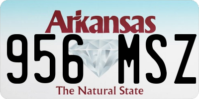 AR license plate 956MSZ